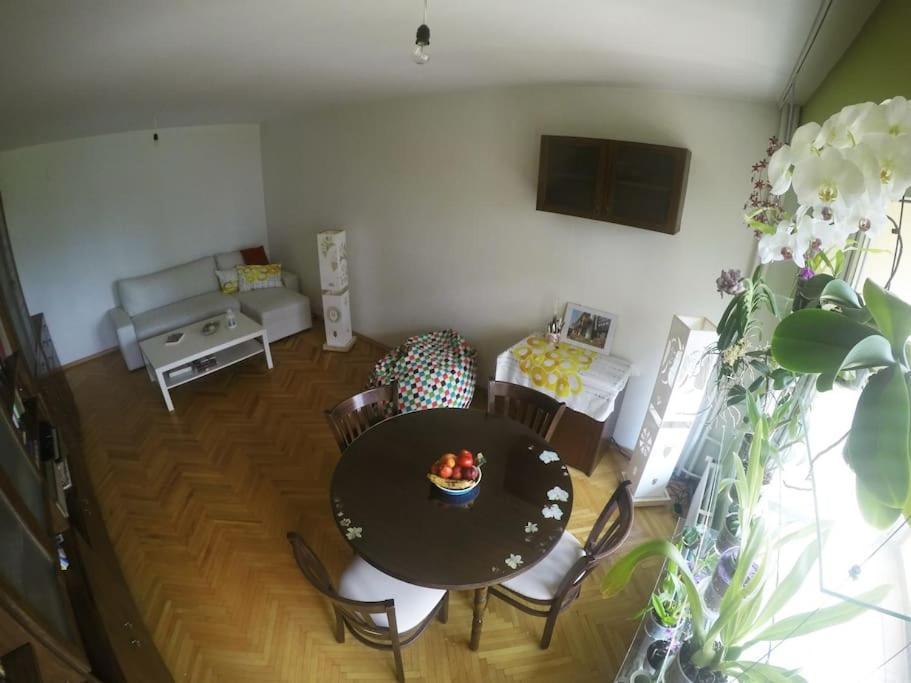 Beautiful Flat In Central Location By Flat Mаnager Sofia Esterno foto